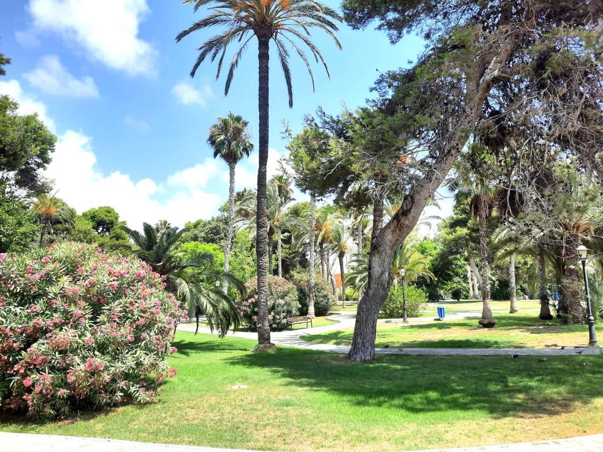 Sinforosa Park Apartments تورّيفيِخا المظهر الخارجي الصورة